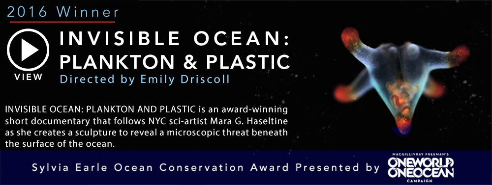 2016 ocean award